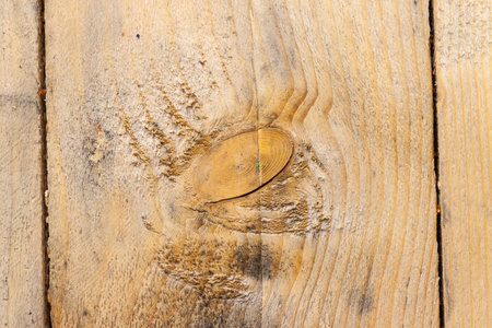 wood background