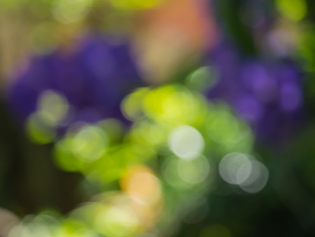 Bokeh background blurの写真素材