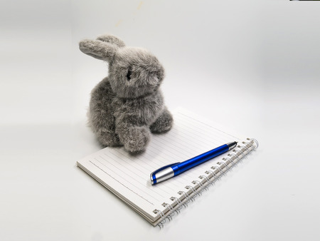 Rabbit Doll on white backgroundの写真素材