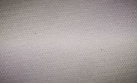 Paper texture. White paper sheet.の写真素材