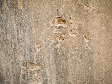 concrete wall background texture