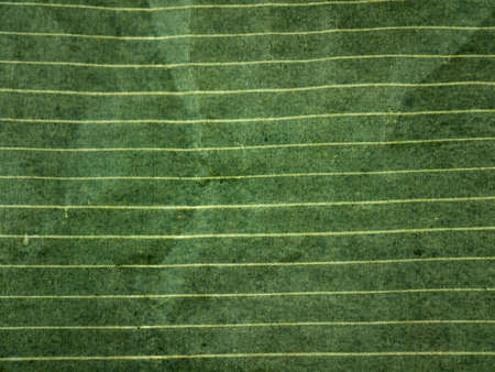 Paper texture.の写真素材