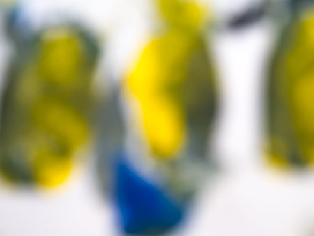 Blurred background Multicolor out of focus