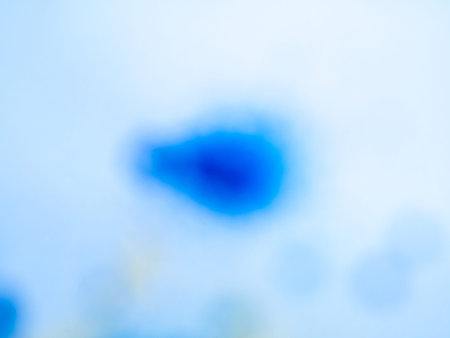 Blurred background Multicolor out of focus