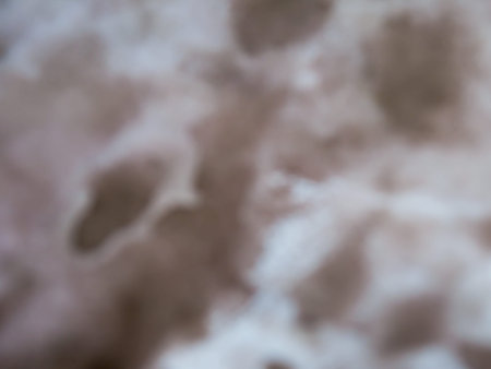Blurred background Multicolor out of focus