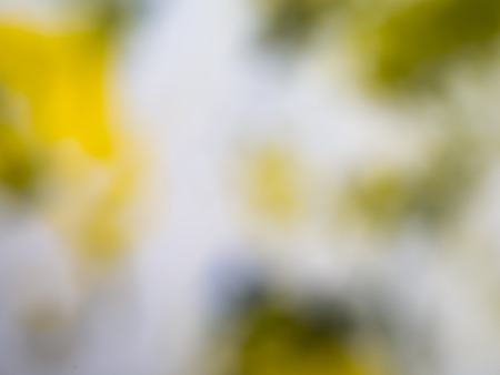 Blurred background Multicolor out of focusの写真素材