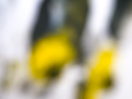 Blurred background Multicolor out of focusの写真素材