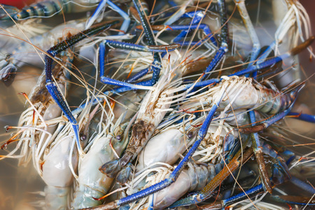 Shrimp is sold in the Thai seafood market.の写真素材