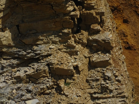 Mostly red sedimentary rock spotted in a limestone quarry