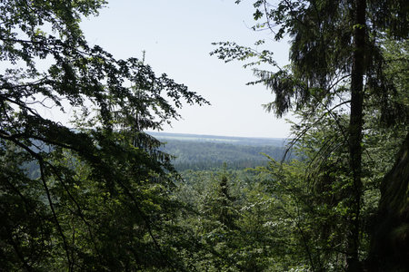 View over the landscape of Bohemian Switzerland, Czech Republic