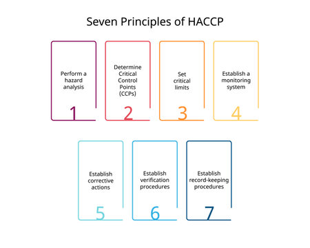 7 principles for HACCP or Hazard Analysis Critical Control Pointsのイラスト素材