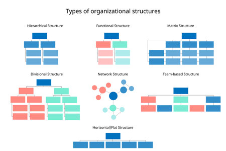 7 types of organizational structures to organize the company organization chartのイラスト素材
