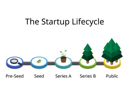 the startup lifecycle from pre seeds to seeding, series A, series B, public marketのイラスト素材