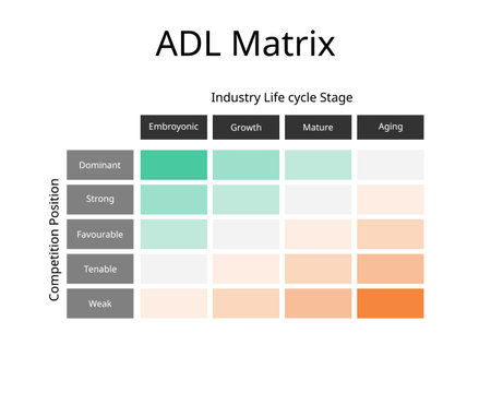 ADL Matrix or Strategic Condition Matrix to manage your portfolio by making judgements around the overall market and industry life cycleのイラスト素材