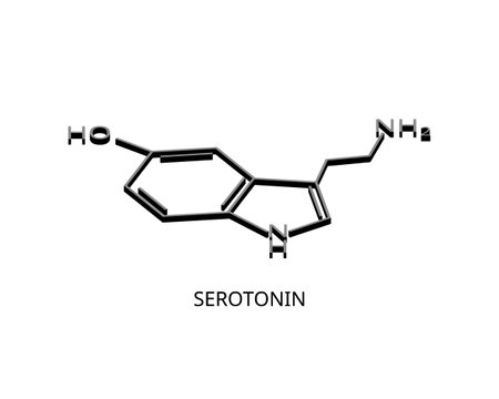 Serotonin hormones plays a key role in such bodily functions as mood, sleep, appetite, anxiety, digestion, blood clotting and sexual desireのイラスト素材