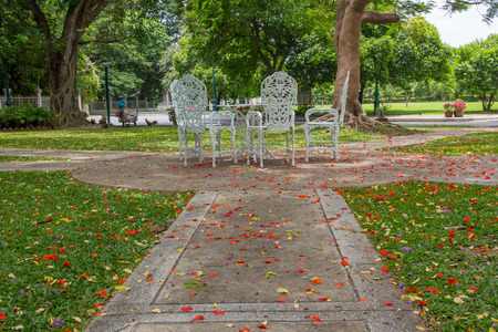 Table and chairs placed in the garden with bright red petals falling all around.の写真素材