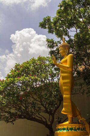 Another aspect of Buddha images in Thailand.の写真素材
