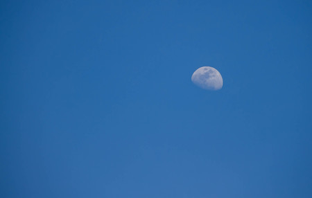 The moon appeared in the daytime.の写真素材