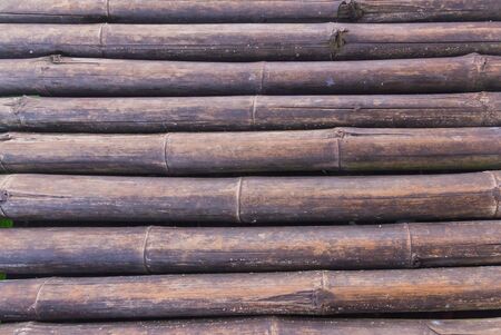 Old brown bamboo used as wallpaper.の写真素材