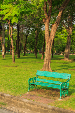 Green chair in the garden.の写真素材