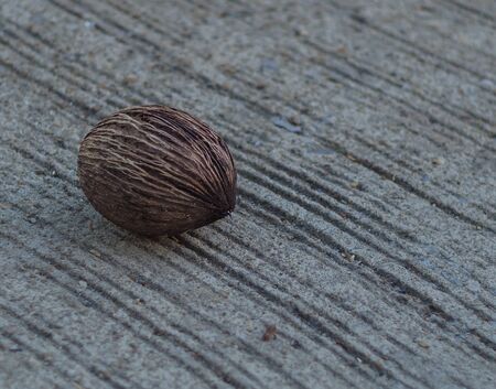 Closeup of dry ball joint on concrete floorの写真素材