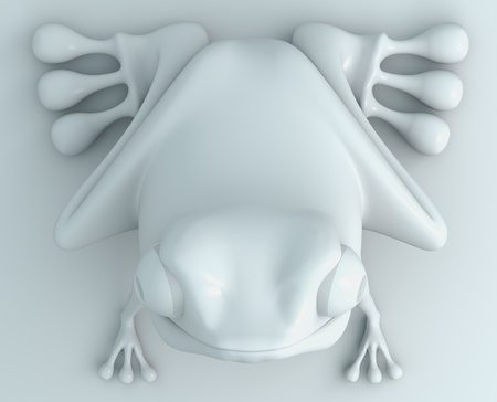 white frog top view on white background. Isolated 3d model の写真素材