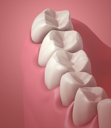 3D teeth or tooth close up illustrationの写真素材