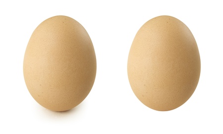 Chicken egg on a white background, isolatedの写真素材
