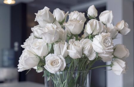 White roses in a glass vase の写真素材