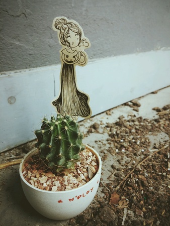 Decorated cactusの素材