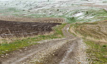 Snow in freshly sown wheat fields. Aksu dzhabaglyの写真素材
