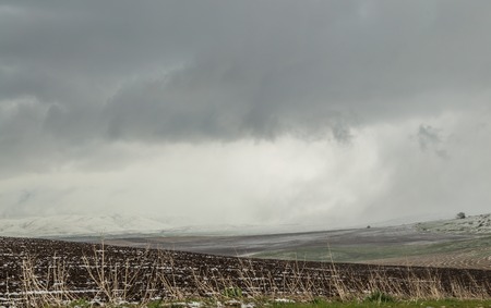 Snow in freshly sown wheat fields. Aksu dzhabaglyの写真素材