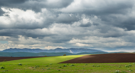 Storm over spring agricultural fields. Aksu dzhabaglyの写真素材