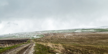 Snow in freshly sown wheat fields. Aksu dzhabaglyの写真素材