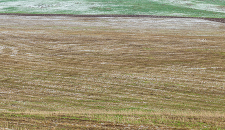 Snow in freshly sown wheat fields. Aksu dzhabaglyの写真素材