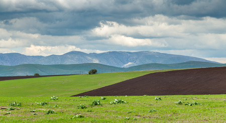 Storm over spring agricultural fields. Aksu dzhabaglyの写真素材