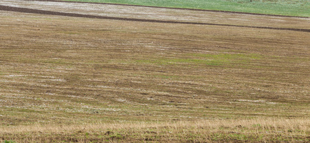 Snow in freshly sown wheat fields. Aksu dzhabaglyの写真素材