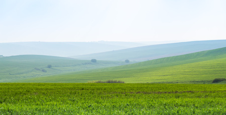 Green foothills in the grass, panoramic view.の写真素材