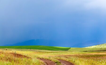 storm storm in the wheat field.の写真素材