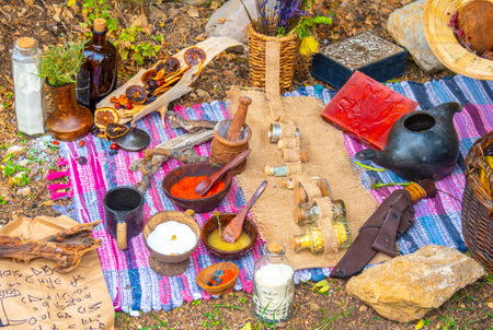 Rural food is beautifully laid out in nature. Natural food organic ingredients in a natural settingの写真素材