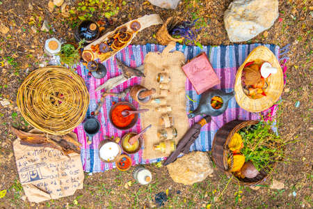 Rural food is beautifully laid out in nature. Natural food organic ingredients in a natural settingの写真素材