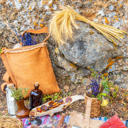 Rural food is beautifully laid out in nature. Natural food organic ingredients in a natural settingの写真素材