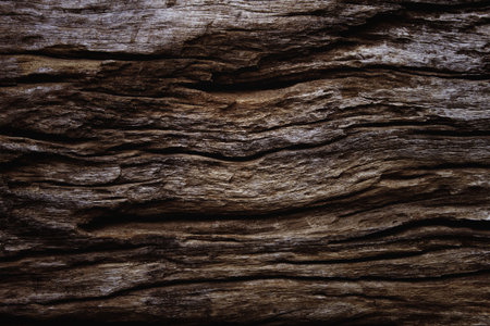vintage wood panels used as background