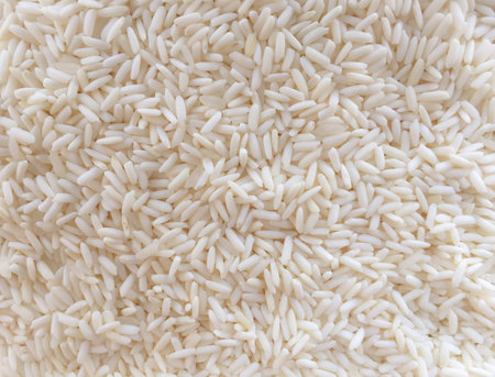Rice seed whiteの素材