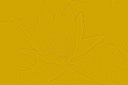 backgroundの写真素材