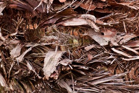 background , natureの写真素材