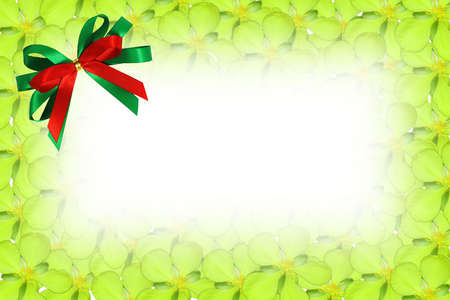 greeting cardの写真素材