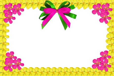 greeting cardの写真素材