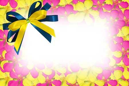 greeting cardの写真素材