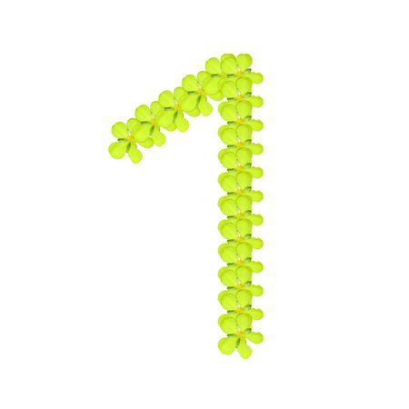 number one from green flowerの写真素材